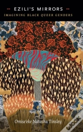 Ezili'S Mirrors