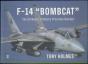F-14 Bombcat - Preview