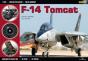 F-14 Tomcat - Preview