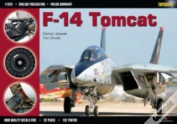 Capa do artigo F-14 Tomcat
