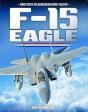 F-15 Eagle - Preview
