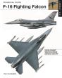 F-16 Fighting Falcon - Preview