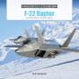 F-22 Raptor - Preview