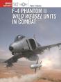 F-4 Phantom Ii Wild Weasel Units In Combat - Preview