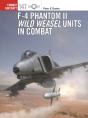 F-4 Phantom Ii Wild Weasel Units In Combat - Preview
