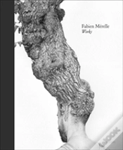 Capa do artigo Fabien Merelle