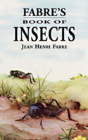 Fabre'S Book Of Insects - Preview