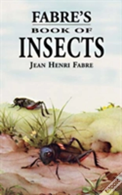 Capa do artigo Fabre'S Book Of Insects