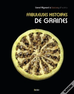 Capa do artigo Fabuleuses Histoires De Graines