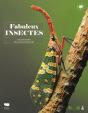 Fabuleux Insectes - Preview
