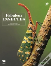 Capa do artigo Fabuleux Insectes