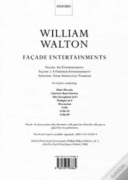 Capa do artigo Facade Entertainments