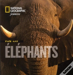 Capa do artigo Face Aux Elephants