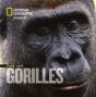 Face Aux Gorilles - Preview
