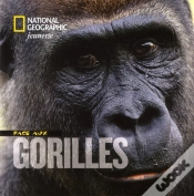 Capa do artigo Face Aux Gorilles