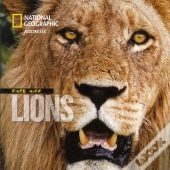 Face Aux Lions