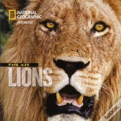 Capa do artigo Face Aux Lions
