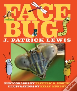 Capa do artigo Face Bug