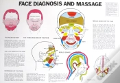Capa do artigo Face Diagnosis And Massage