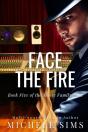 Face The Fire - Preview
