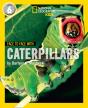 Face To Face With Caterpillars - Preview