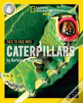 Face To Face With Caterpillars