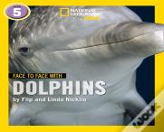 Face To Face With Dolphins