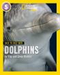 Face To Face With Dolphins - Preview