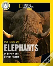 Face To Face With Elephants