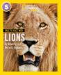 Face To Face With Lions - Preview