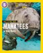 Face To Face With Manatees - Preview