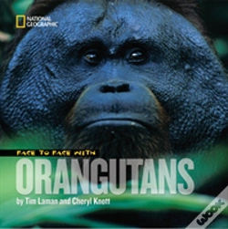 Capa do artigo Face To Face With Orangutans