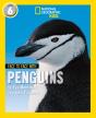 Face To Face With Penguins - Preview