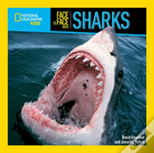 Face To Face With Sharks