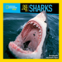 Face To Face With Sharks - Preview