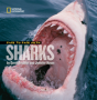 Face To Face With Sharks - Preview