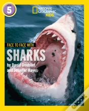 Capa do artigo Face To Face With Sharks