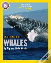 Face To Face With Whales