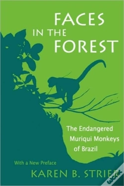 Capa do artigo Faces In The Forest