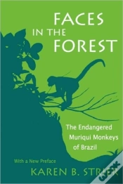 Capa do artigo Faces In The Forest