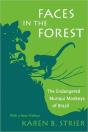 Faces In The Forest - Preview
