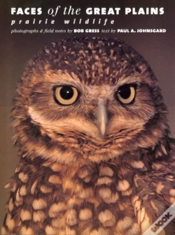 Capa do artigo Faces Of The Great Plains