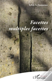 Facettes Multiples Facettes