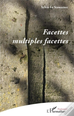 Capa do artigo Facettes Multiples Facettes