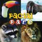 Facial Fare - Preview