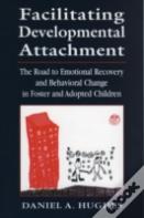 Facilitating Developmental Attachment