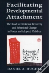 Facilitating Developmental Attachment