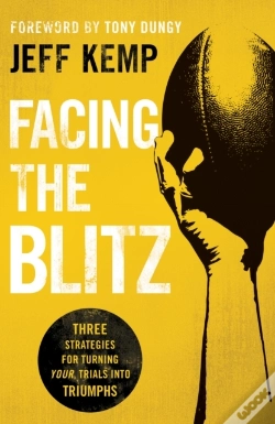 Capa do artigo Facing The Blitz