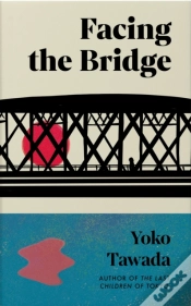 Capa do artigo Facing The Bridge