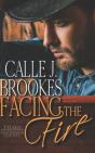 Facing The Fire - Preview